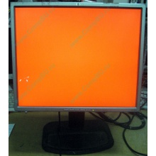Монитор 19" TFT HP 1955 (DVI в Черном, USB-хаб) "квадратный" (Черное)