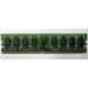 Модуль оперативной памяти 4096Mb DDR2 Patriot PSD24G8002 pc-6400 (800MHz)  (Черное)
