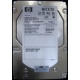 HP 454228-001 146Gb 15k SAS HDD (Черное)