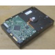 Жесткий диск HP 250Gb 7200 rpm 432337-001/ 399699-001 / 397377-004 (Черное)