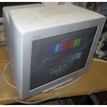 ЭЛТ монитор 17" Nec FE771SB (Черное)