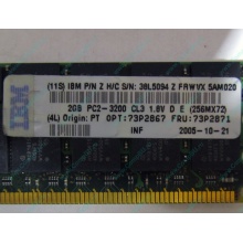 IBM 73P2871 73P2867 2Gb (2048Mb) DDR2 ECC Reg memory (Черное)