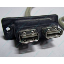 USB-разъемы HP 451784-001 (459184-001) для корпуса HP 5U tower (Черное)