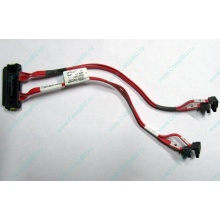 SATA-кабель для корзины HDD HP 451782-001 459190-001 для HP ML310 G5 (Черное)