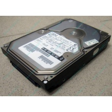 Жесткий диск 18.2Gb IBM Ultrastar DDYS-T18350 Ultra3 SCSI (Черное)