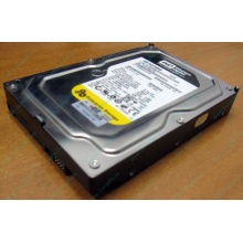 Жесткий диск 160Gb WD WD1602ABKS SATA (Черное)