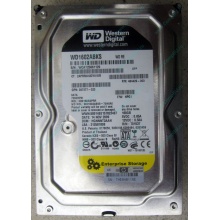 Жесткий диск 160Gb WD WD1602ABKS SATA (Черное)