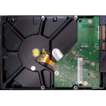 Б/У жёсткий диск 1Tb Western Digital WD10EVVS Green (WD AV-GP 1000 GB) 5400 rpm SATA (Черное)