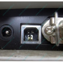 Термопринтер Zebra TLP 2844 (выломан USB разъём в Черном, COM и LPT на месте; без БП!) - Черное