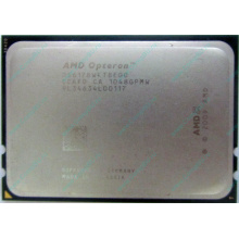 AMD Opteron 6128 OS6128WKT8EGO (Черное)